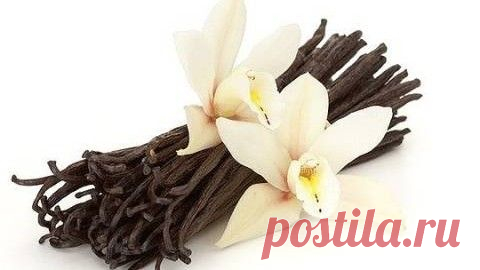 Ваниль и ее производные: как приготовить ванильный сахар | Четыре вкуса