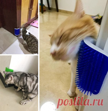 17 недорогих, но чертовски полезных штуковин с AliExpress, за которые ваш питомец скажет спасибо