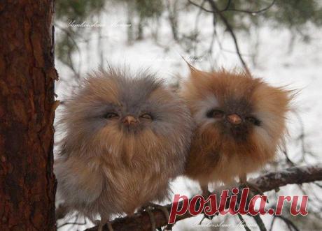 s-6967.jpg (604×434)