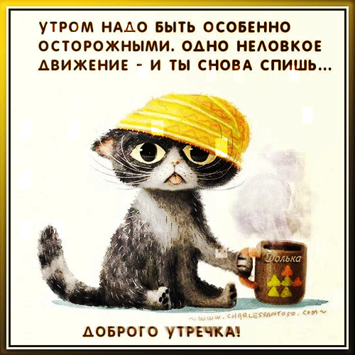ДОБРОГО УТРЕЧКА!