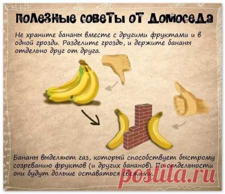 полезные советы от домоседа