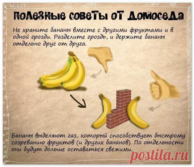 полезные советы от домоседа