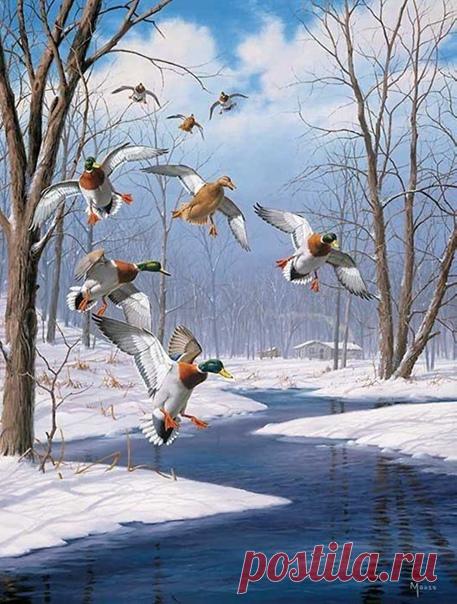 Любите жизнь, любите жить,
и каждый день всегда ценить..