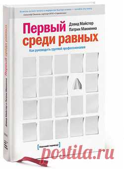 Книга для менеджеров проектов и всех, кому нужно руководить группами профессионалов