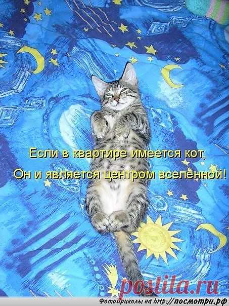 Мой Мир@Mail.Ru