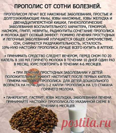 Прополис от сотни болезней