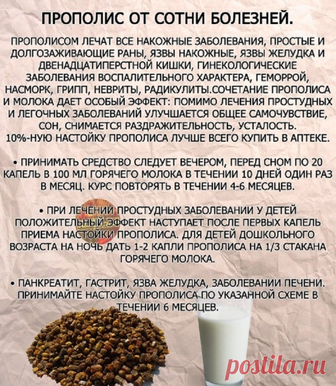 Прополис от сотни болезней