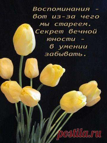 Разных категорий