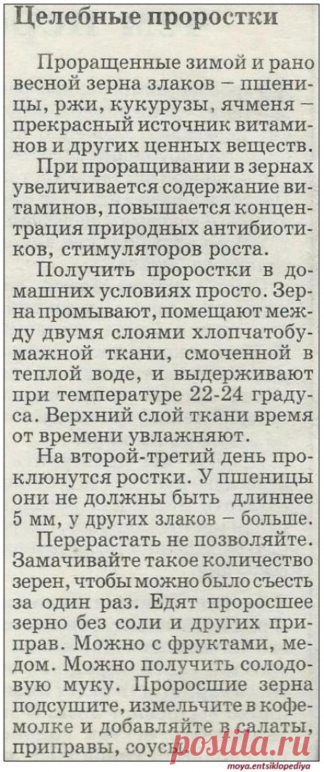Целебные проростки