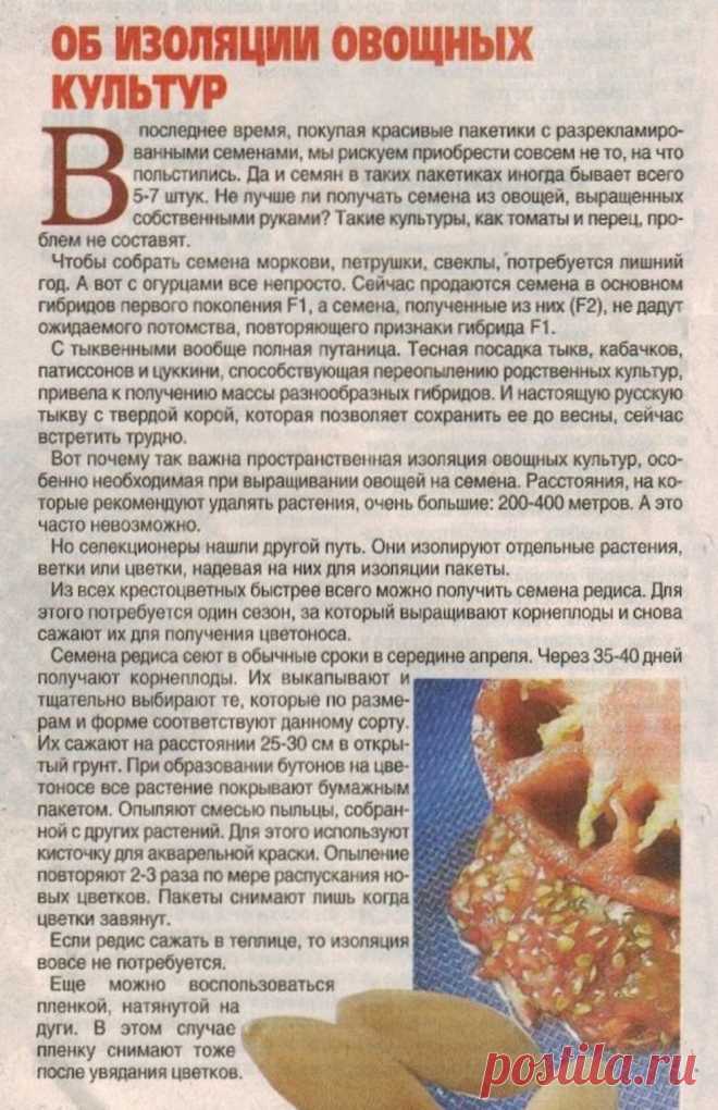 Об изоляции овощных культур при выращивании овощей на семена