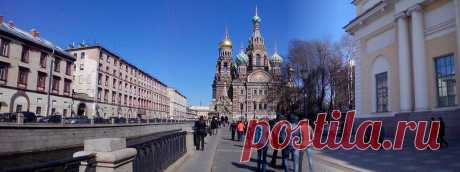 Анастасия Гуренко