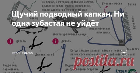 Щучий подводный капкан. Ни одна зубастая не уйдёт Нехитрая, уловистая снасть - капкан хорошо засекает хищника и не даст ему уйти ни при каких условиях.
Этот метод ловли придумали уже наверное лет 40 назад в северных регионах, где до сих пор на него успешно рыбачат. Такая снасть удобна и хороша для любителей пассивной ловли. Важно лишь правильно подготовить механизм, далее, дело лишь за тем, чтобы вовремя снять добычу с капкана. Народные умельцы п