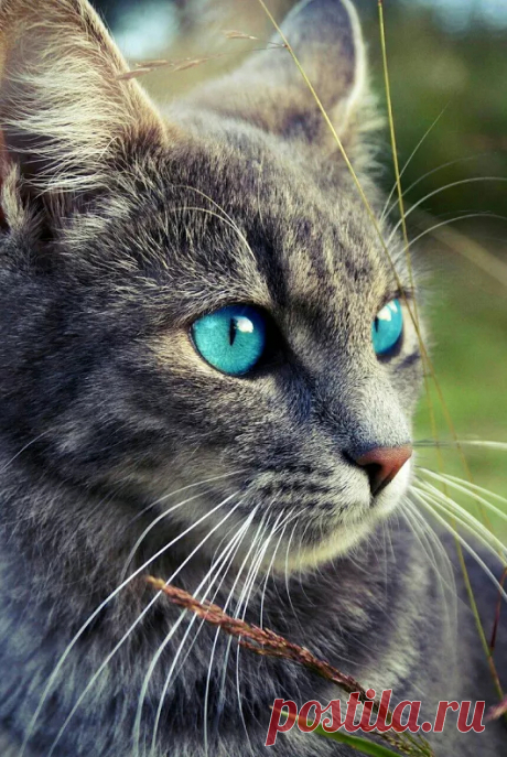 Amazing pictures – Google+