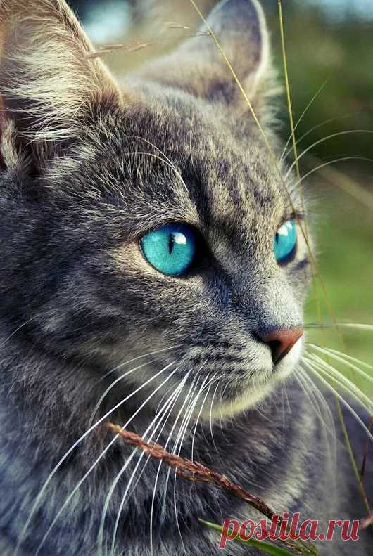 Amazing pictures – Google+