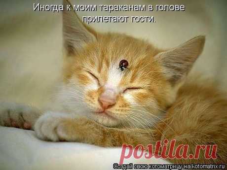 Интересные новости