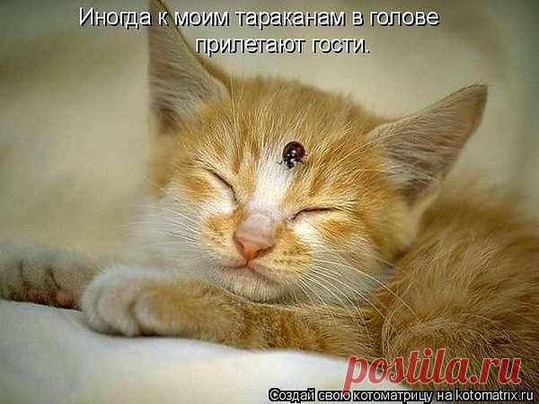 Интересные новости