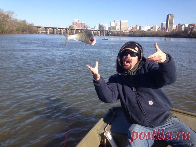 Лучшие фотографии месяца