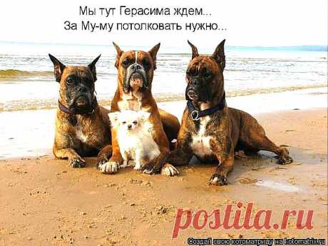 Интересные новости
