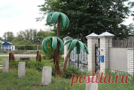 Фотографии на стене сообщества | 32 857 фотографий