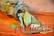 Письмо «❀ Подхваты для штор своими руками. Чистка кишечника. День Рождения. Диетические салаты. Выше грудь. Гвозди в саду» — Постила — Яндекс.Почта