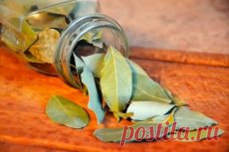 Письмо «❀ Подхваты для штор своими руками. Чистка кишечника. День Рождения. Диетические салаты. Выше грудь. Гвозди в саду» — Постила — Яндекс.Почта