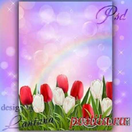 Tulipanes, Fondo PSD. Fondo PSD para Photoshop gratis en capas de archivos Descargar.