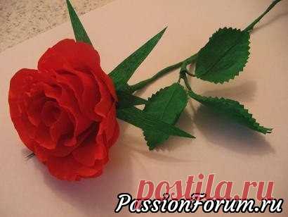 Алая роза из гофрированной бумаги. - запись пользователя Ангелина (Ангелина Кожарина (Ноздрычева)) в сообществе Работа с бумагой в категории Другие поделки из бумаги и картона