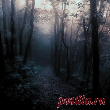 м