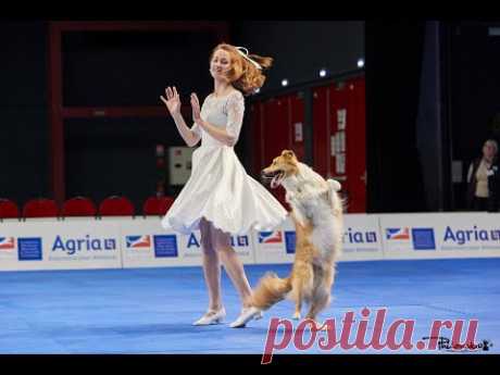 Dog Dancing World Championship 2022, Anastasiia Beaumont and border collie Yuki