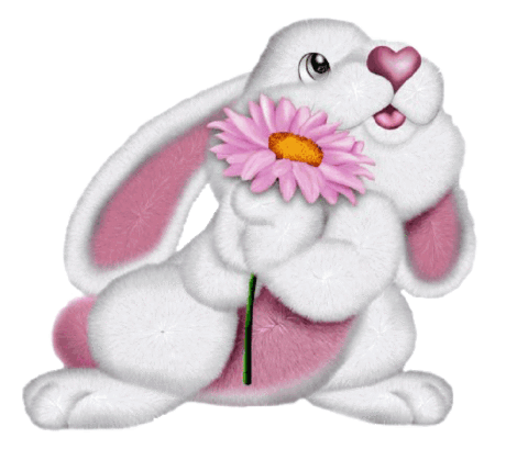 анимашки ..мой зайка - 271 тыс. картинок. Поиск Mail.Ru