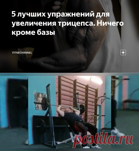 5 лучших упражнений для увеличения трицепса. Ничего кроме базы | fitnechannel | Яндекс Дзен