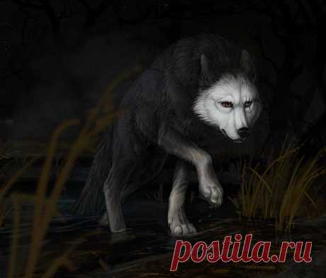 Download Wolf Wallpaper Over 50+ high-definition Wolf wallpapers for free download! Customize your desktop, mobile phone and tablet with our Wolf wallpapers now!