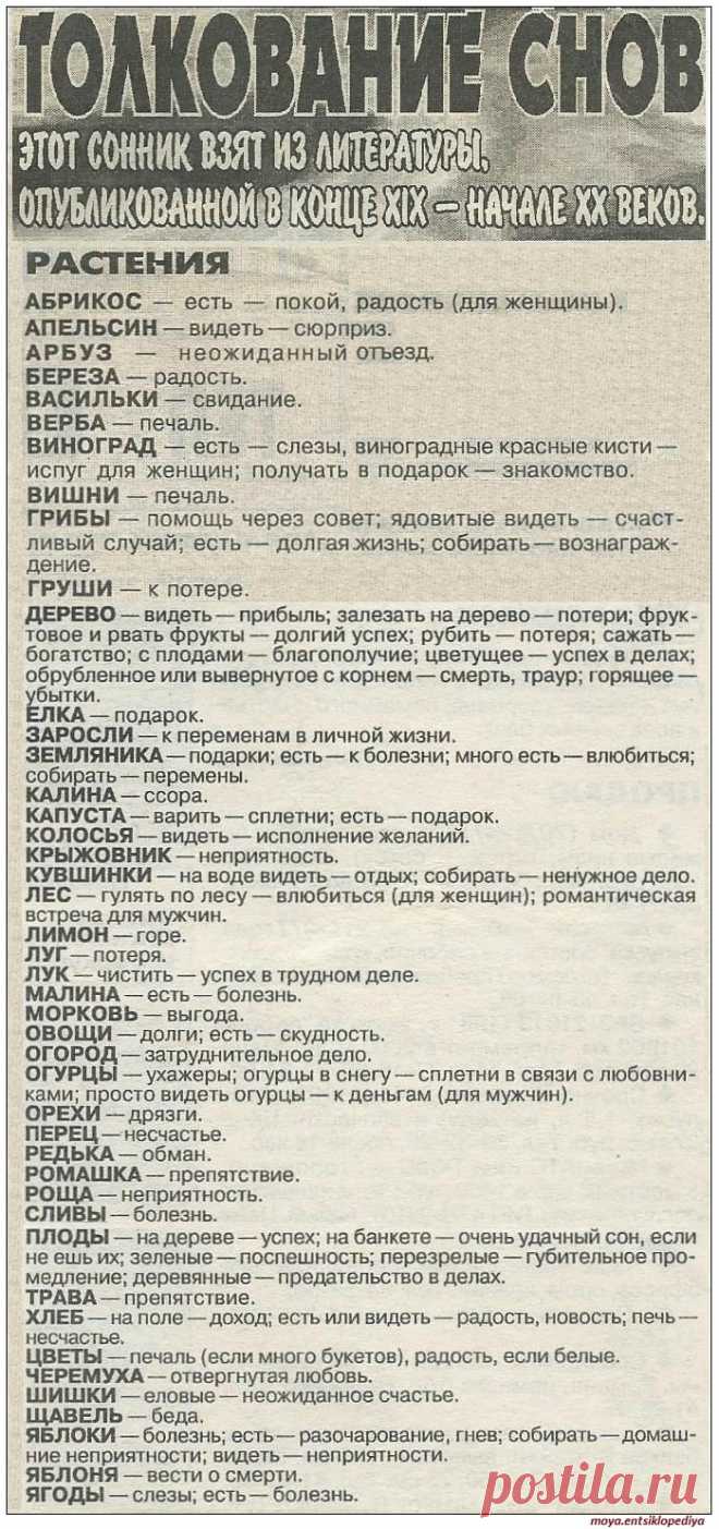 Если снятся растения