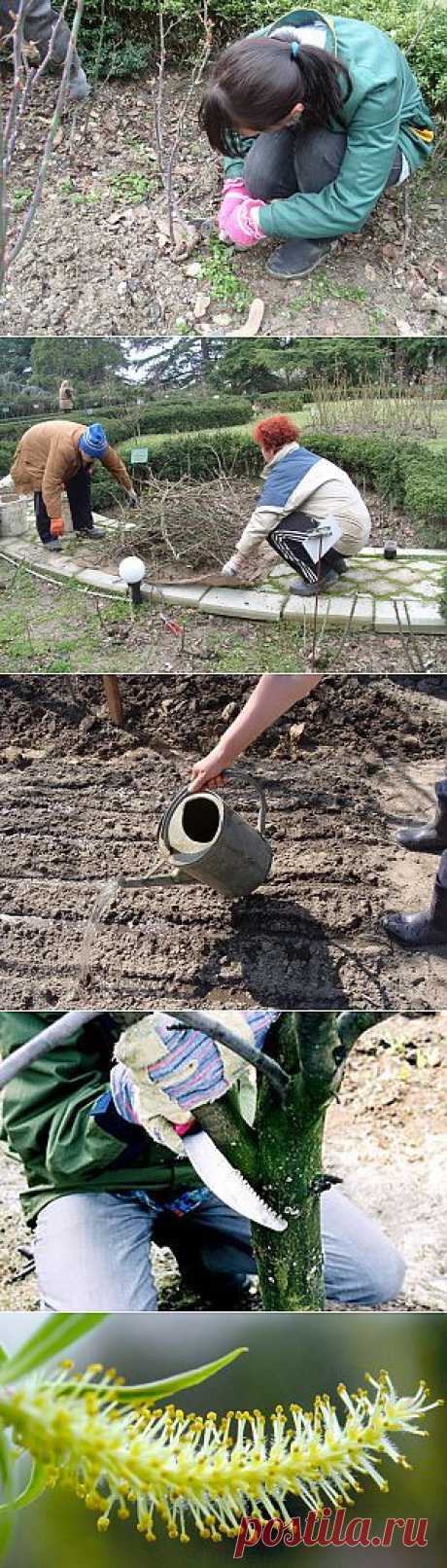Сезонные работы в саду и огороде: третья неделя февраля. 
После оттепели еще месяц-полтора могут быть и морозы, и глубокий снег, но если успеете провести сверхранние посевы моркови, редиса, салата, шпината, укропа, петрушки, то урожай вас удивит! А на юге начинаем обрезку роз, декоративных и плодовых культур.
В «февральские окна» на юге перекапываем почву, делаем грядки, вносим удобрения. Высеваем семена холодостойких культур: лука (чернушки), салата, шпината, укропа, петрушки, моркови, свеклы