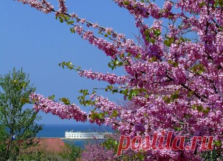 Весенний Крым