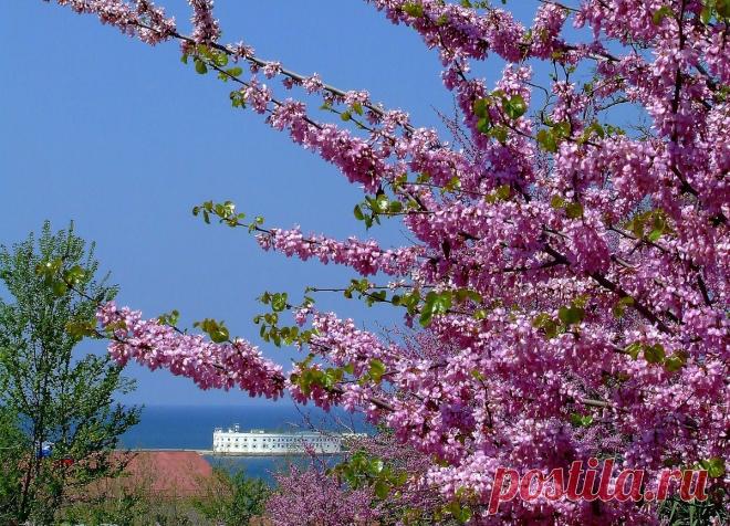 Весенний Крым