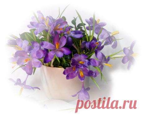 клипарт «цветы» png