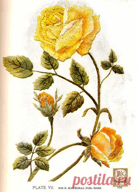 Brainerd & Armstrong VII 1898