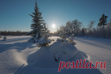 ФОТОМАСТЕРСКАЯ ПРИРОДЫ
Олег Кулябин