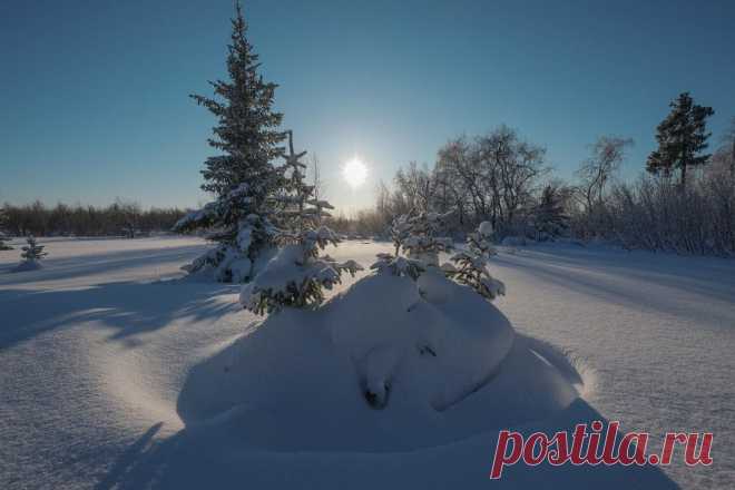 ФОТОМАСТЕРСКАЯ ПРИРОДЫ
Олег Кулябин