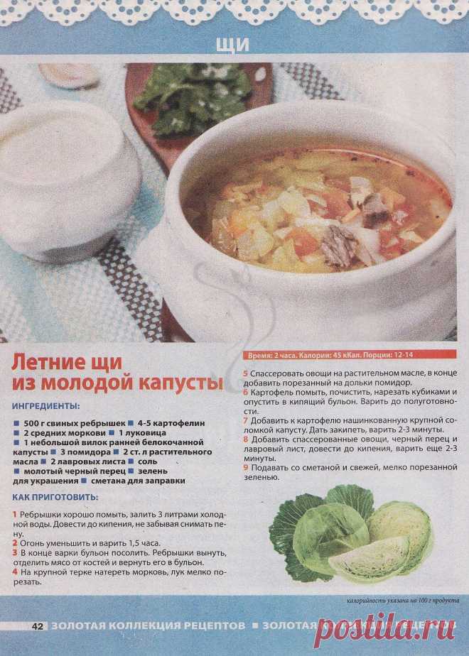 Летние щи из молодой капусты