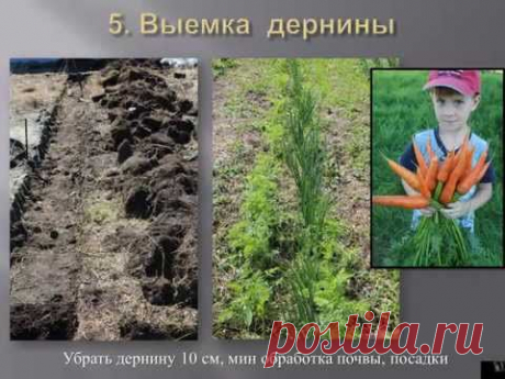 Грядки на дернине