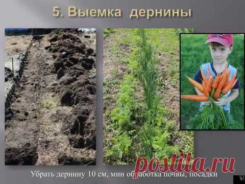 Грядки на дернине
