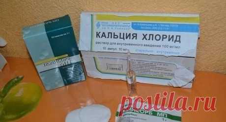(3) Одноклассники
