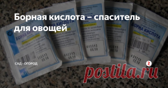 Борная кислота – спаситель для овощей Не все знают, но борная кислота – это настоящий спаситель для овощей (баклажаны, кабачки, помидоры, перцы), спектр действий данного средства весьма широк.
Оно помогает и когда плохо завязываются плоды, и при их загнивании, и оно даже спасает растения в жару.
Рецепт раствора прост, что особенно радует, для его приготовления от вас не потребуется каких-то особых знаний и усилий.
Рецепт: 0.5 л горяче