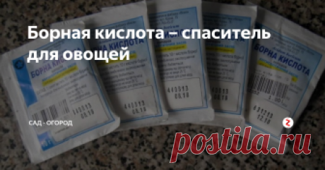 Борная кислота – спаситель для овощей Не все знают, но борная кислота – это настоящий спаситель для овощей (баклажаны, кабачки, помидоры, перцы), спектр действий данного средства весьма широк.
Оно помогает и когда плохо завязываются плоды, и при их загнивании, и оно даже спасает растения в жару.
Рецепт раствора прост, что особенно радует, для его приготовления от вас не потребуется каких-то особых знаний и усилий.
Рецепт: 0.5 л горяче