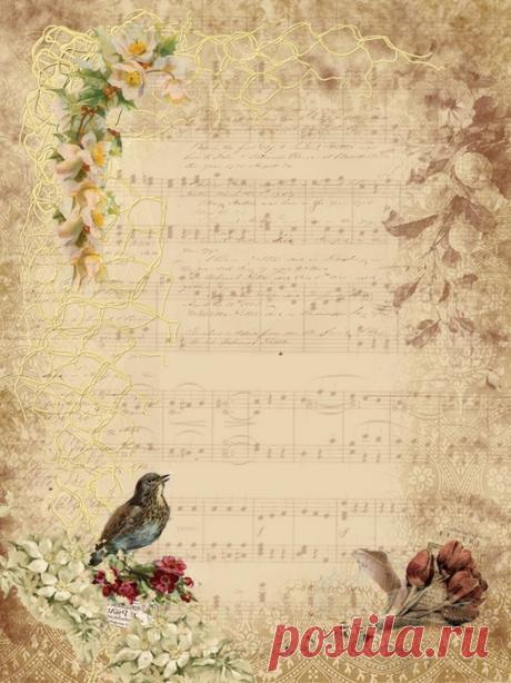 Шикарные винтажные картинки, теги, этикетки и фоны. Много !!!