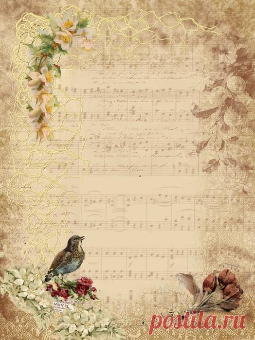 Шикарные винтажные картинки, теги, этикетки и фоны. Много !!!