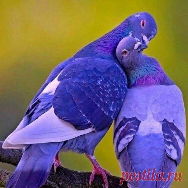 Доброе утро всем!❤