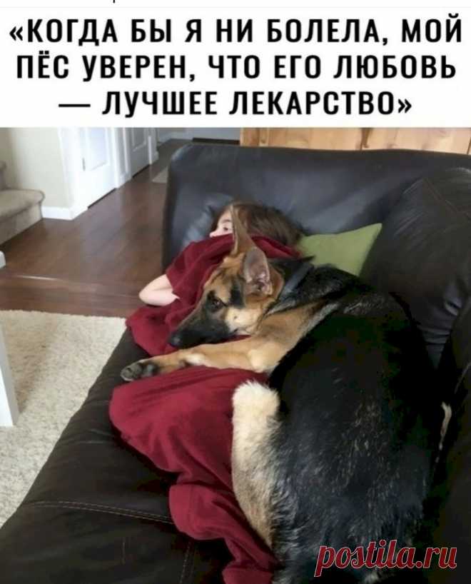 Выпуск №6502 - выпуск анекдотов сайта вокруг смеха